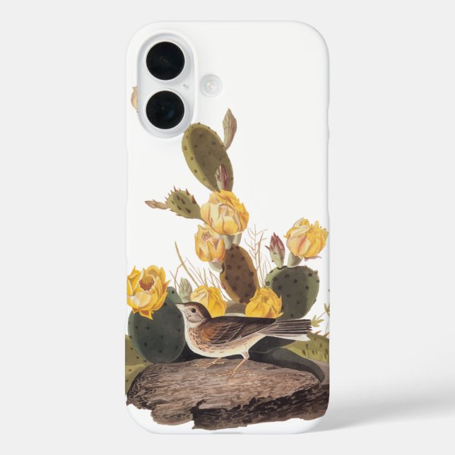Bay-Winged Bunting Audubon Audubon Bird Case-Mate iPhone Case (Back)