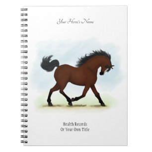 Bay With Blaze Personalised Horse Owner's Journal