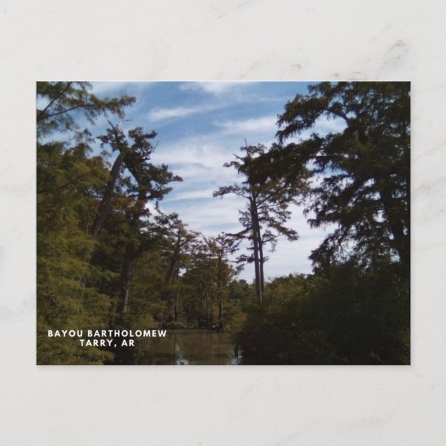 Bayou Batholomew, Tarry, AR Postcard (Front)