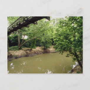Bayou Bend Collection Park, Houston, Texas, U.S.A. Postcard