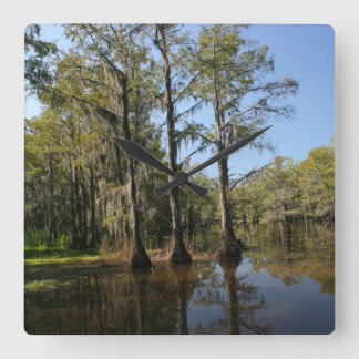 Bayou clock