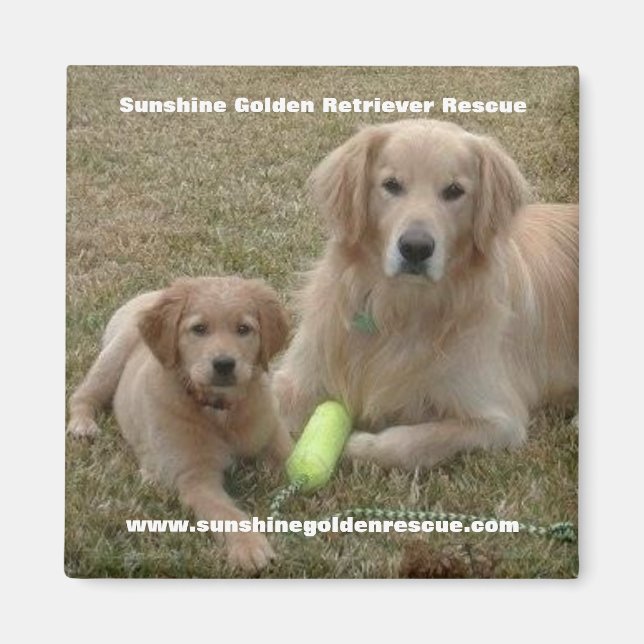 Bayou Magnet - Sunshine Golden Retriever Rescue... (Front)