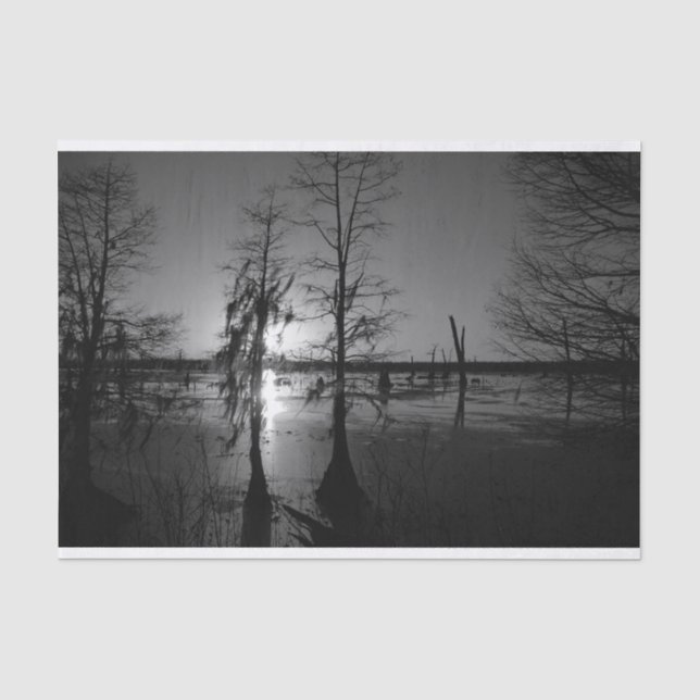 Bayou Sunset | Cypress Trees & Swamp Tissue Paper (Front)