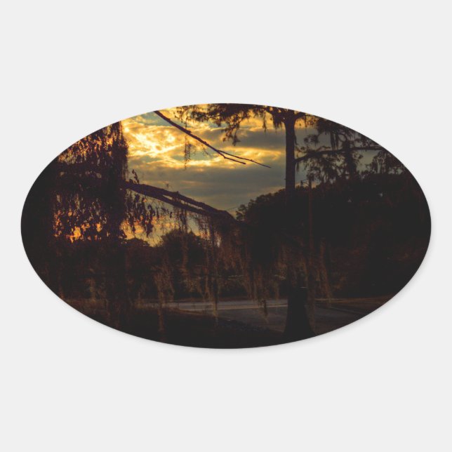 Bayou Sunset Reflection Oval Sticker (Front)