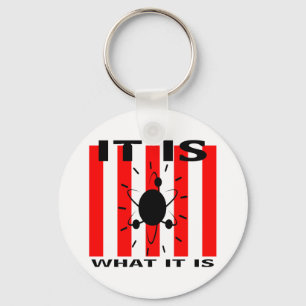 Bazinga Gifts Key Ring