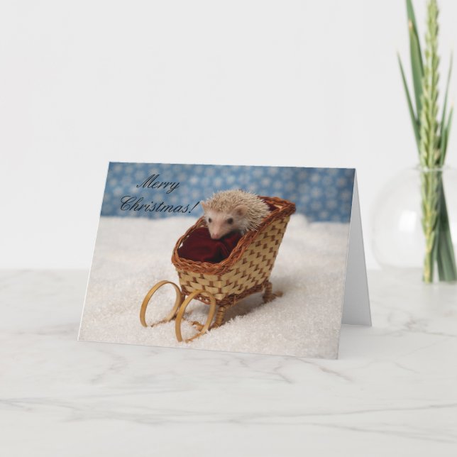 BB238777, MerryChristmas! Holiday Card (Front)