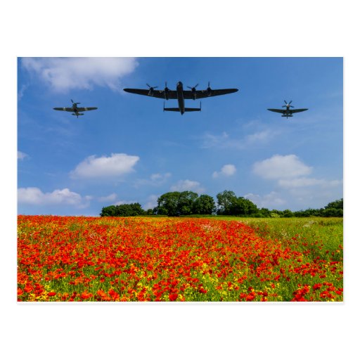 Image of BBMF Poppy flypast Postcard