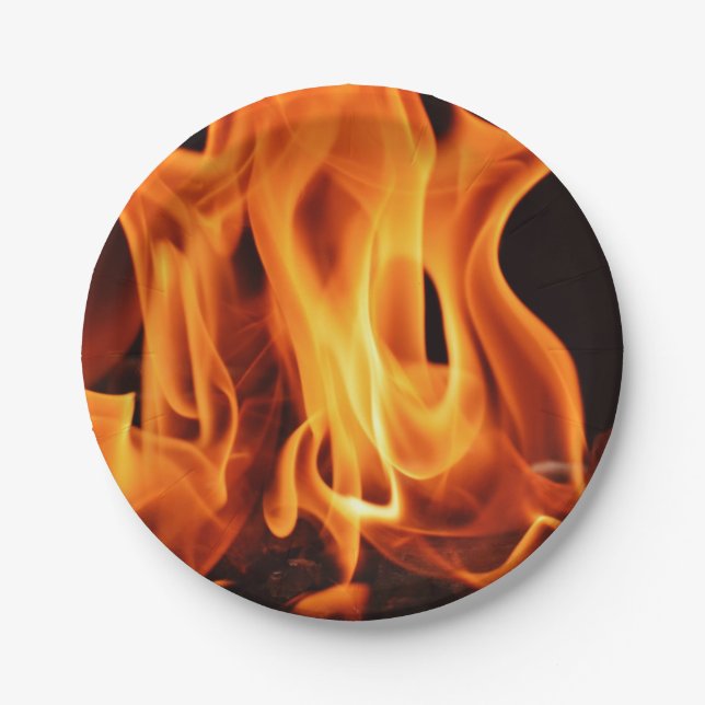 BBQ Grill Fire Flames Paper Plate (Front)