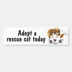 BC- Adopt a Rescue at Today Bumper Sticker