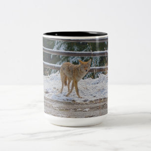 BC Coyote Wildlife Nature Coffee Mug