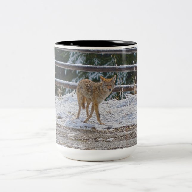 BC Coyote Wildlife Nature Coffee Mug (Center)