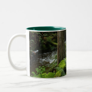 BC Forest Creek Ferns Wilderness Nature Drinkware Two-Tone Coffee Mug