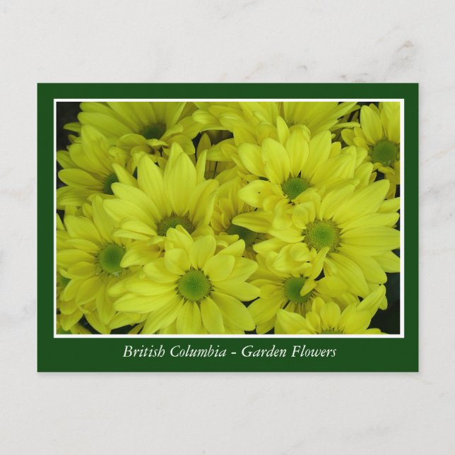 BC garden flowers Postcard (Front)