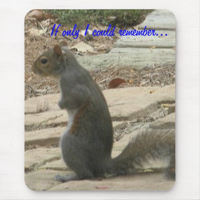 BC-Squirrel Mousepad (Front)