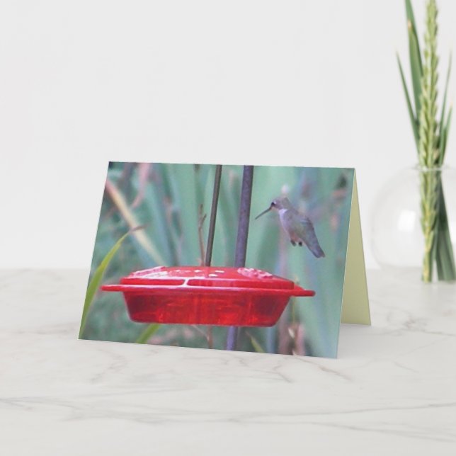 BD-Humming bird 'get well' card (Front)