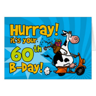 bd scooter cow - 60