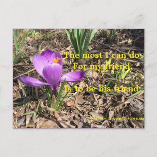 BE A FRIEND -THOREAU POSTCARD