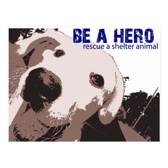 Be A Hero Rescue A Shelter Animal Postcard