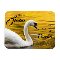 Be a Swan Beautiful Inspirational Quote