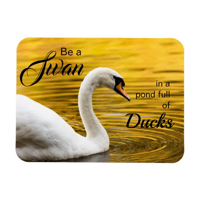 Be a Swan Beautiful Inspirational Quote Magnet (Horizontal)