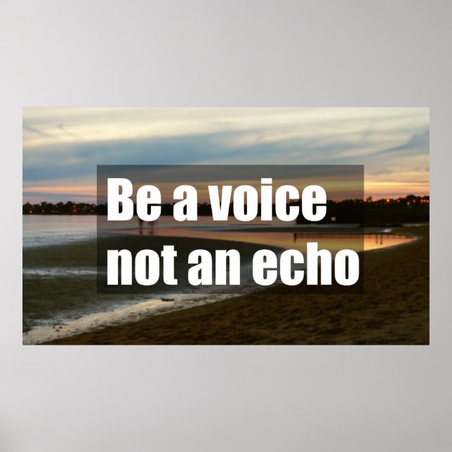 Be a voice not an echo  poster (Front)
