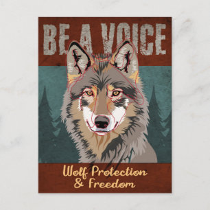 Be a Voice - Wolf Protection and Freedom Postcard