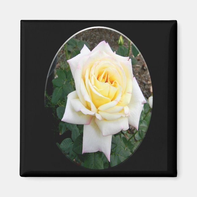 Be at Peace...... Magnet (Front)