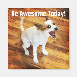 Be Awesome Today! Magnet