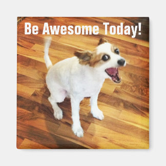 Be Awesome Today! Magnet