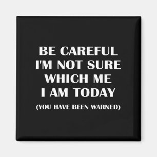 Be Careful I'm Not Sure Which Me I Am Today Funny Magnet