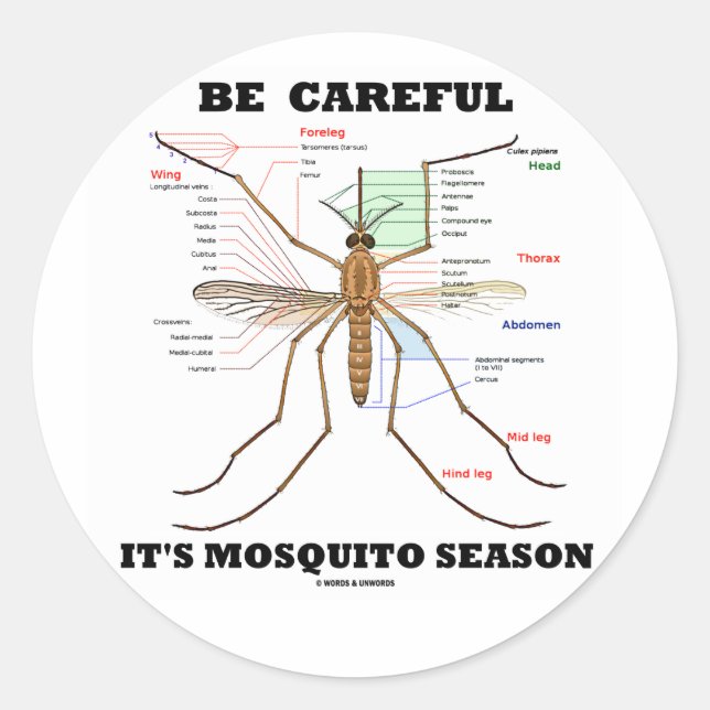 Be Careful It's Mosquito Season (Mosquito Anatomy) Classic Round Sticker (Front)