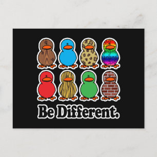 Be Different Ducks Postcard