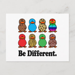 Be Different Ducks Postcard