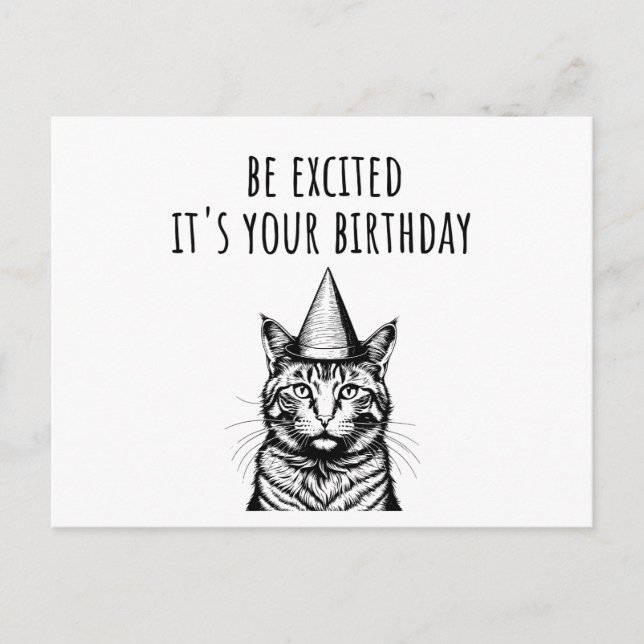 Be Excited It's Your Birthday Funny Cat Postcard (Front)
