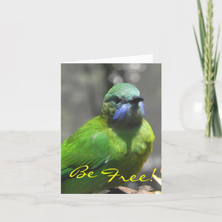 Be Free! Thank You Card