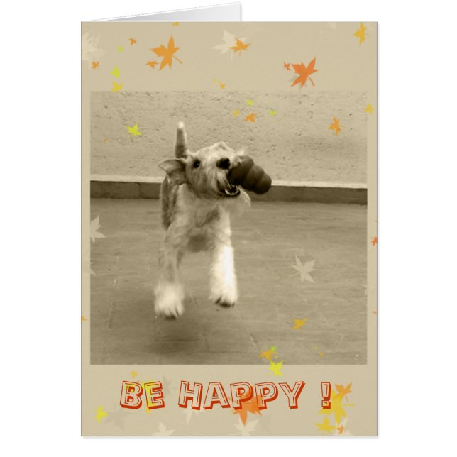 Be Happy ! (Front)
