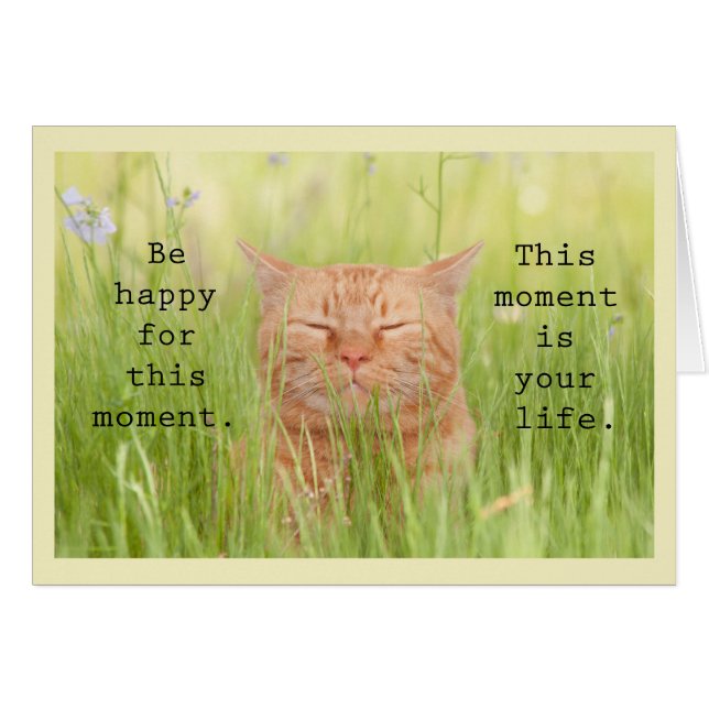 Be Happy For This Moment (Front Horizontal)