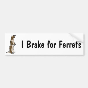BE- I Brake for Ferrets Bumper Sticker