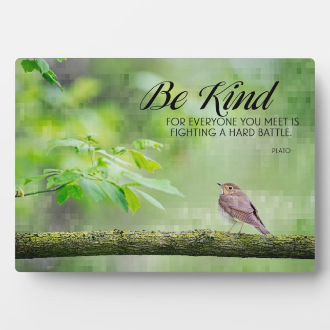 Be Kind Plaque (Front)