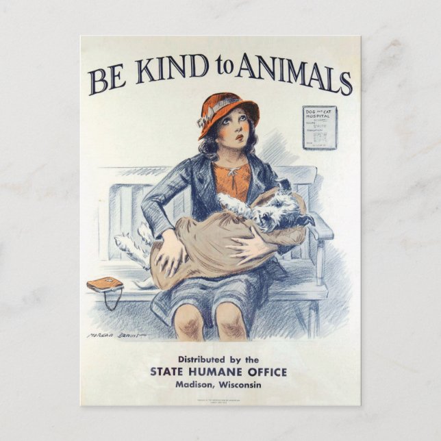 Be Kind to Animals USA vintage postcard (Front)