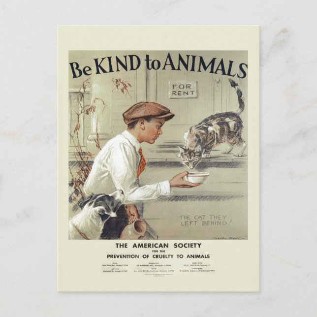 Be Kind to Animals USA vintage postcard #2 (Front)