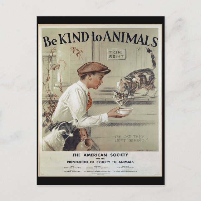Be Kind to Animals - Vintage Poster Postcard (Front)
