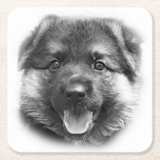 BE LIKE BONK! SQUARE PAPER COASTER