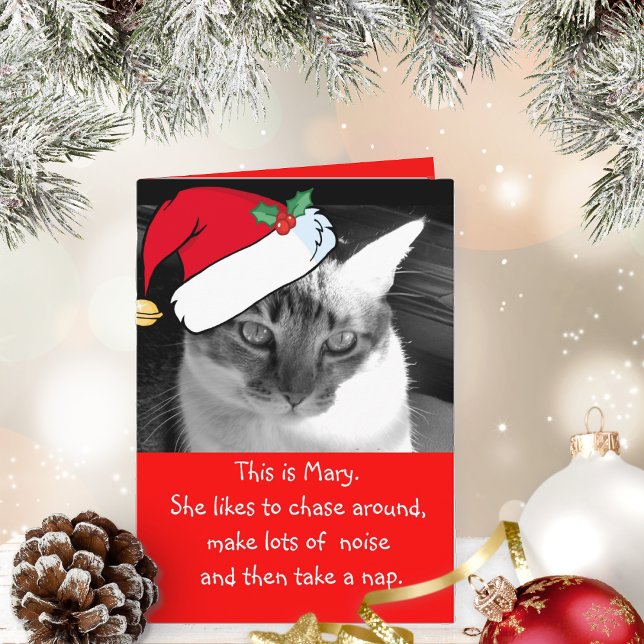 Be Mary Holiday Card (This cute card is purr-fect for cat lovers to give or receive!)