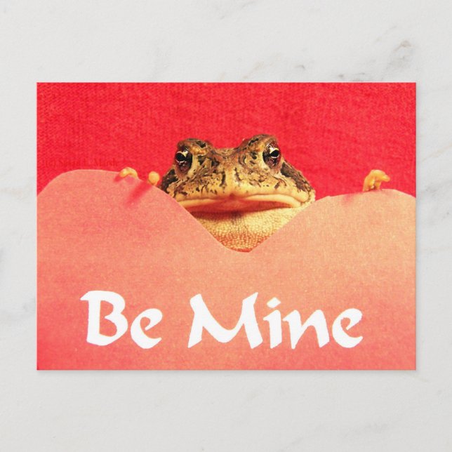 Be Mine Frog close up photograph Postcard (Front)