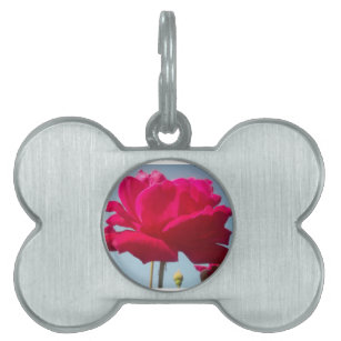 Be Mine Happy Valentine Under the Blue Sky Pet Name Tag