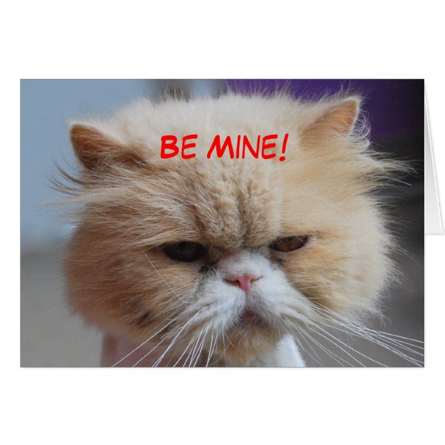 Be Mine Persian Cat (Front Horizontal)