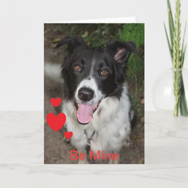 Be Mine Valentine from the Border Collie Dog Holiday Card (Front)