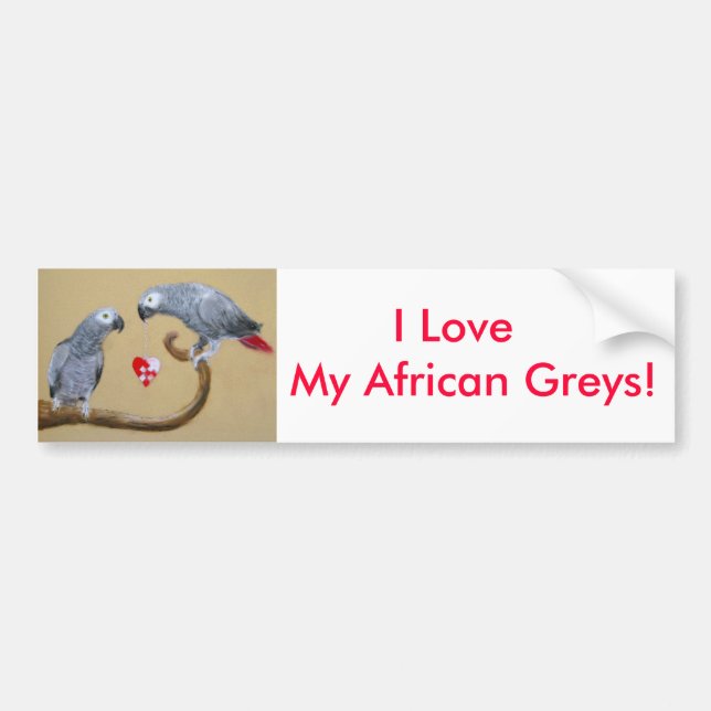 Be My Valentine! Bumper Sticker (Front)