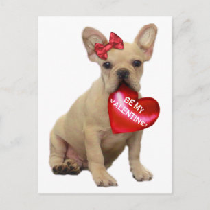 Be My Valentine French bulldog postcard